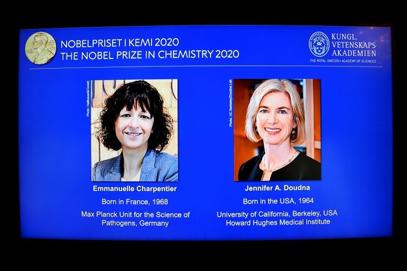 Pictures of Emmanuelle Charpentier and Jennifer A. Doudna, winners of the 2020 Nobel Prize in Chemistry, are displayed on a screen during the news conference announcing the laureates, at the Royal Swedish Academy of Sciences, in Stockholm, Sweden, October 7, 2020. (REUTERS Photo)