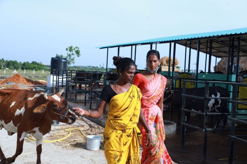 Members of India's first trans-run dairy farm at work in Thoothukudi, India. (Thomson Reuters Foundation Photo)