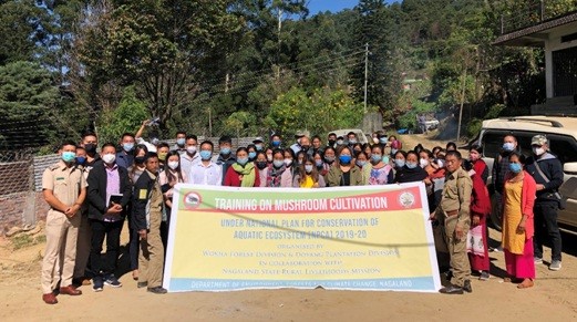 Participants along with NSRLM and Forest Department officials during the training program on ‘method demonstration on oyster mushroom cultivation’ held at the Community Hall, Forest Colony, Wokha on November 11. 