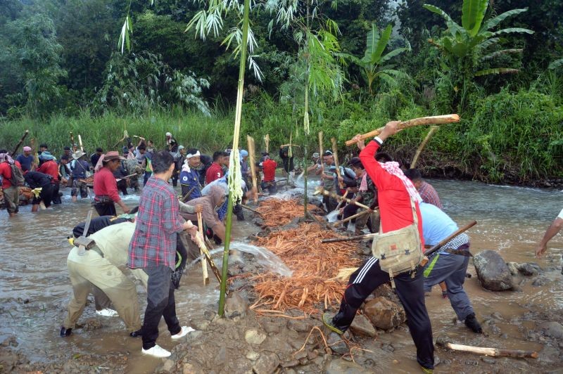 Mopungchuket villagers are seen here thrashing the bark of a fish stupefying plant locally called ‘zü’ as then engage in a traditional community fishing activity at Milak River on November 13. Community fishing is a unique traditional practice of social engagement among the various Naga tribes where villagers fish together in the river by using natural fish stupefying extracts from bark and fruits of certain plants. (Morung Photo)