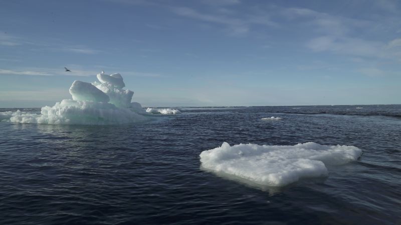 Floating ice is seen during the expedition of the The Greenpeace's Arctic Sunrise ship at the Arctic Ocean, September 14, 2020. (REUTERS File Photo)