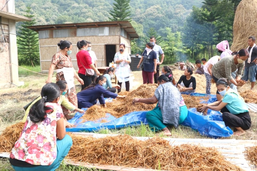 Participants at the one day training workshop on mushroom cultivation in Patkai Christian College (Autonomous) on November 6.