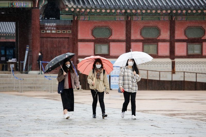 Tourists wearing masks walk with umbrellas as it rains amid the coronavirus disease (COVID-19) pandemic at Gyeongbok Palace in central Seoul, South Korea, November 19, 2020. (REUTERS File photo)