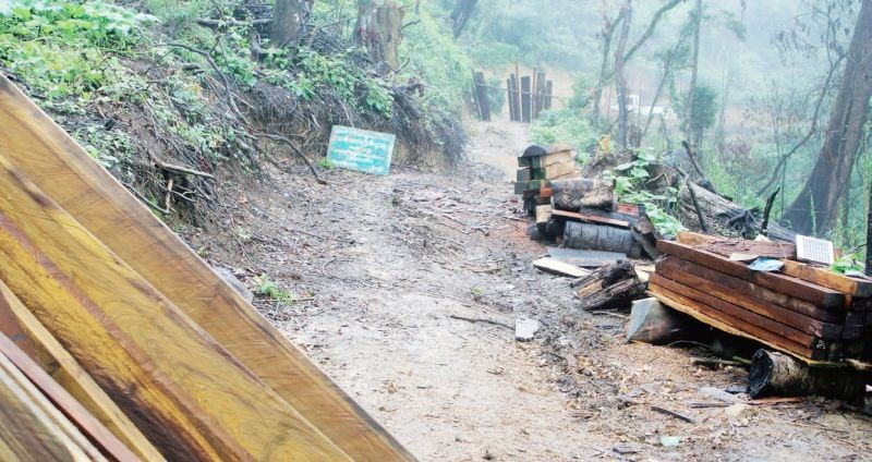 Timber extraction around the Protected Public Forest signboard in Somra. (Photo courtesy RRtIP)