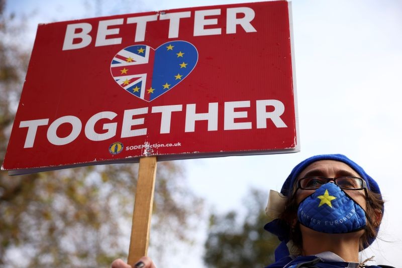 An anti-Brexit protester holds a sign as she demonstrates near the conference centre where Brexit trade negotiations are taking place, in Westminster, London, Britain, November 13, 2020. (REUTERS Photo)