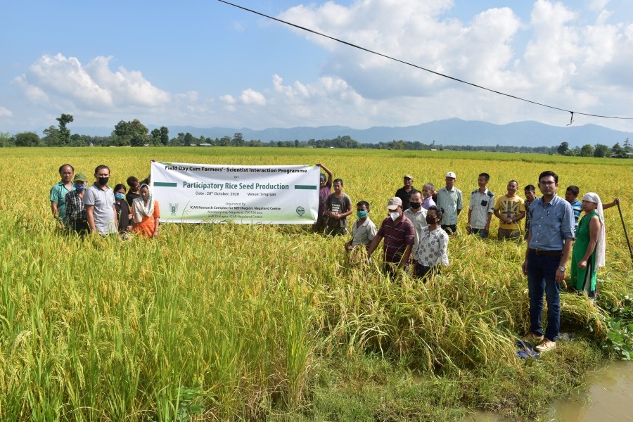 Officials and participants during the ‘field day cum farmers’-scientist interaction programme on participatory rice seed production’ held at Singrijan village on October 28.