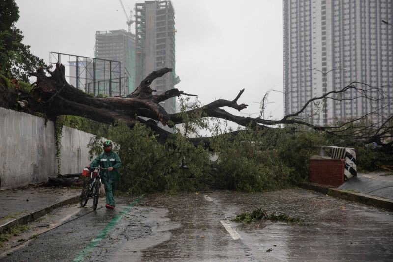 A man walks his bike past a fallen tree following Typhoon Vamco, at a road in Quezon City, Metro Manila, Philippines, November 12, 2020. (REUTERS Photo)