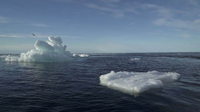 Floating ice is seen during the expedition of Greenpeace's Arctic Sunrise ship in the Arctic Ocean, September 14, 2020. (REUTERS File Photo)