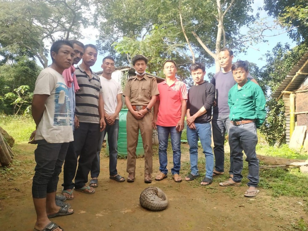 Kohima Forest Division along with Tseminyu Range staff and villagers with the rescued Indian Pangolin.