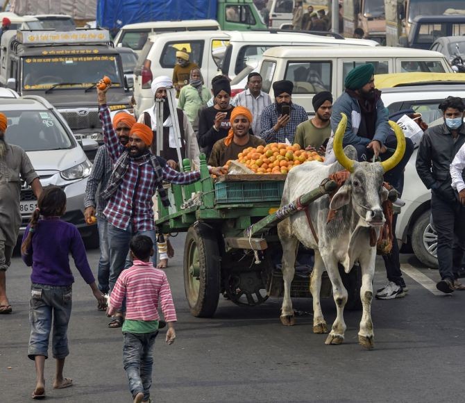 Farmers distribute fruits during a protest march against Centre's agri-laws at Delhi-Meerut Expressway in New Delhi. Photograph: Kamal Singh/PTI Photo
