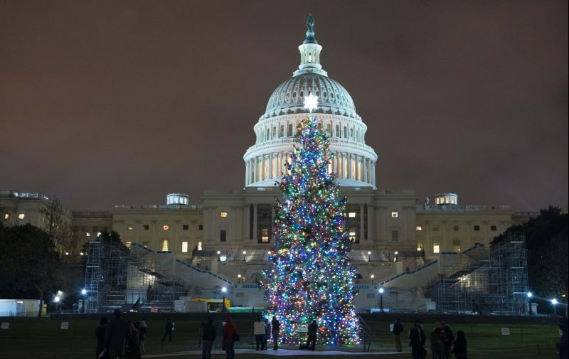 U.S. Capitol Christmas Tree is seen at the U.S. Capitol at night after negotiators sealed a deal for COVID relief on December 20, 2020, in Washington. Top Capitol Hill negotiators sealed a deal Sunday on an almost $1 trillion COVID-19 economic relief package, finally delivering long-overdue help to businesses and individuals and providing money to deliver vaccines to a nation eager for them. (AP/PTI Photo)