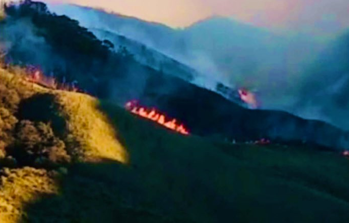 Based on the requisition by the State Government of Nagaland, HQ EAC, IAF has launched a Mi-17V5 helicopter equipped with Bambi Bucket for fire fighting in Dzükou valley, PRO Kohima, Ministry Of Defence updated on Twitter on December 31. (Photo: @prodefkohima/Twitter)