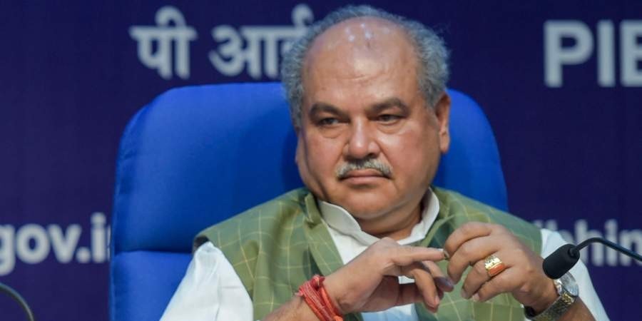 Union Minister for Agriculture and Farmers Welfare Narendra Singh Tomar (Photo | PTI)