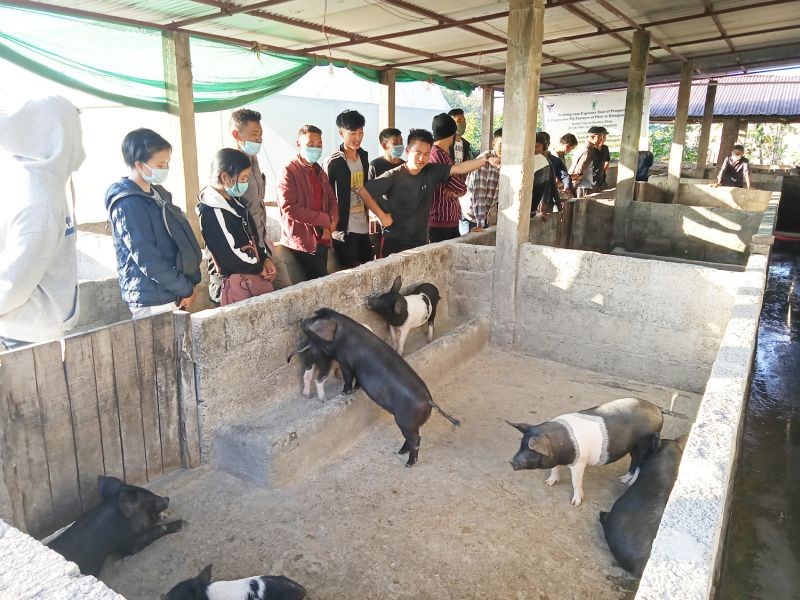 Participants on an exposure visit to a modern commercial pig farm at Chümoukedima, Dimapur.