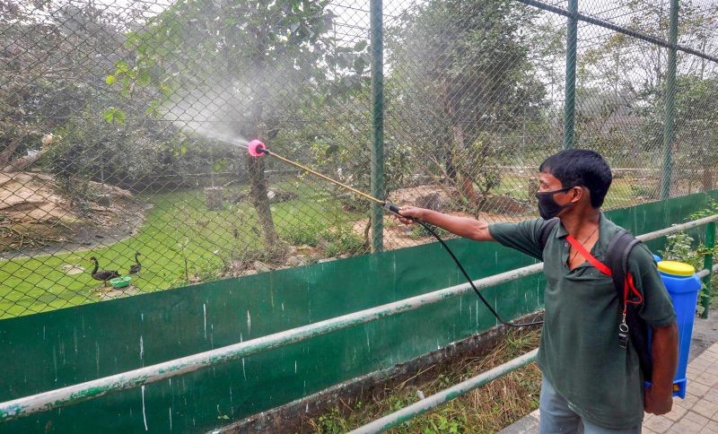 A worker sprays disinfectant in an enclosure of Assam State Zoo in the wake of avian influenza outbreak, in Guwahati on January 10. (PTI Photo)