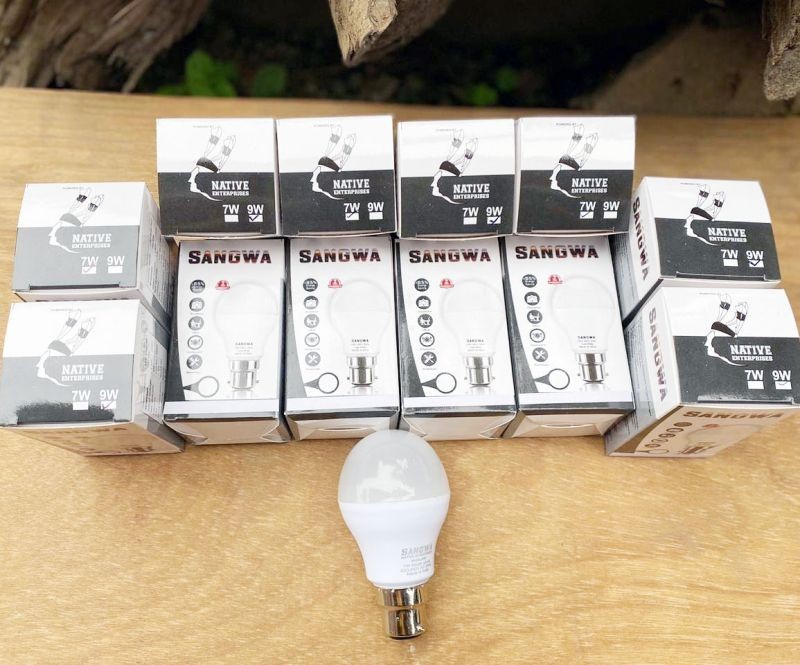 At present, Nagaland-based Native Enterprises is producing 7 and 9 watts LED bulbs.