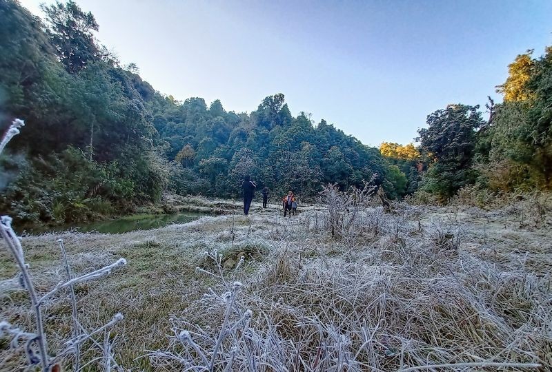 Field areas covered with frost in Waoshu village under Tuensang district. Waoshu village is located around 54kms away from Tuensang town. (Morung Photo)