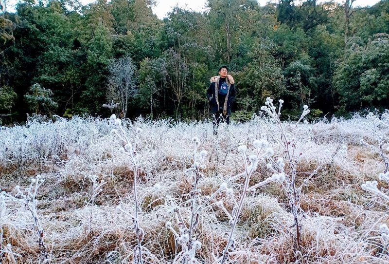 Field areas covered with frost in Waoshu village under Tuensang district. Waoshu village is located around 54kms away from Tuensang town. (Morung Photo)
