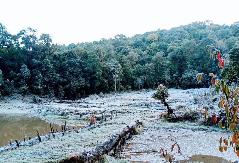 Field areas covered with frost in Waoshu village under Tuensang district. Waoshu village is located around 54kms away from Tuensang town. (Morung Photo)