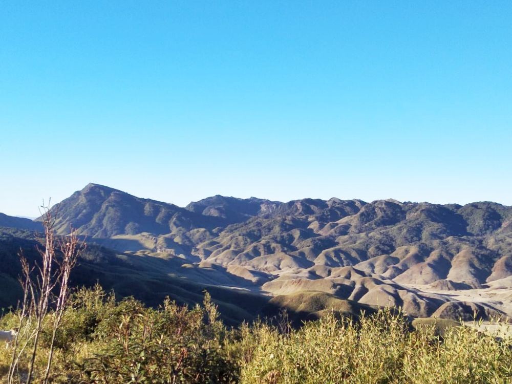 No active fire was detected in the Dzükou Valley area on January 8 as per reports from the base camp. (DIPR Photo)