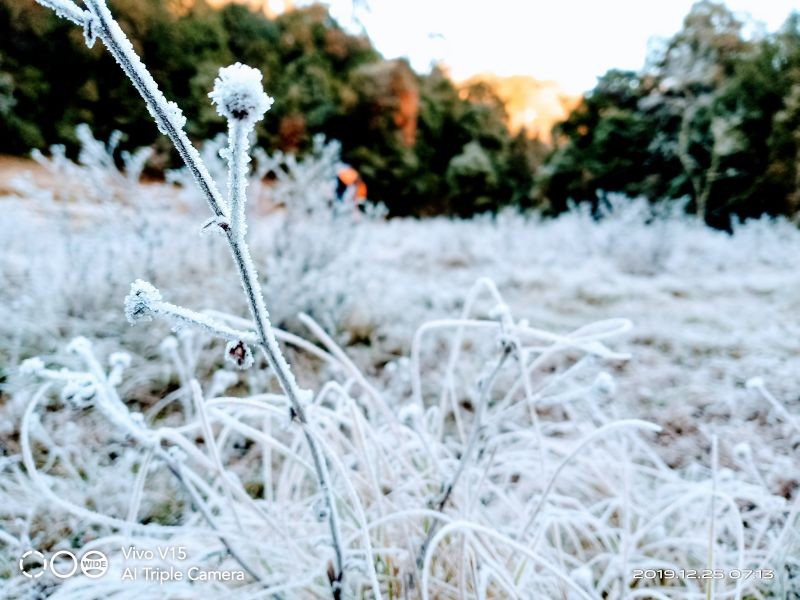 Field areas covered with frost in Waoshu village under Tuensang district. Waoshu village is located around 54kms away from Tuensang town. (Morung Photo)