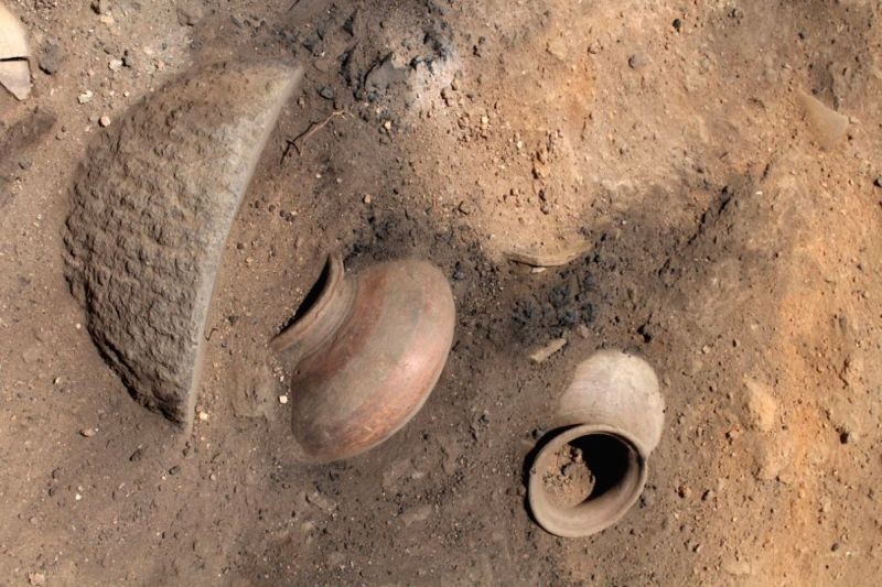 Representational image. (IANS File Photo)