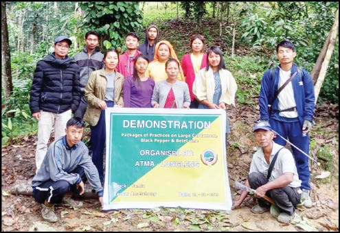 Agricultural Technology Management Agency (ATMA), Longleng under Tamlu block organized demonstration on the topic, ‘Packages of Practices on Large Cardamom, Black Pepper & Betel Vine’ on January 21 at the Arecanut Farm School, Ametchong village. Apart from demonstrations on how to propagate the plants, post harvest management and disseminating technical knowledge for better cropping, resource person Chingsang Phom, Agriculture Inspector, also conducted productive interaction sessions with the farmers. (Photo Courtesy: ATMA Longleng)