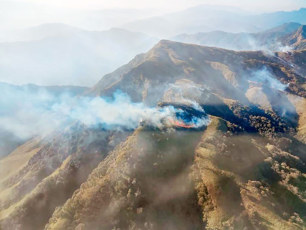 Smoke rises during a forest fire that broke out in the Dzükou Valley of Kohima district on January 4. (PTI Photo)