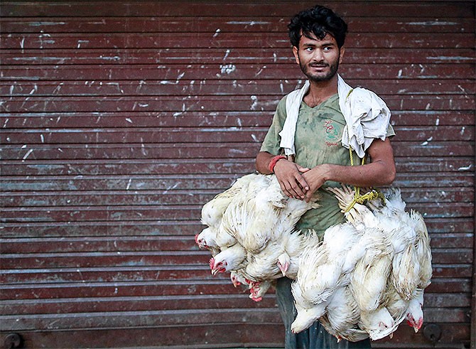 Representational  Image