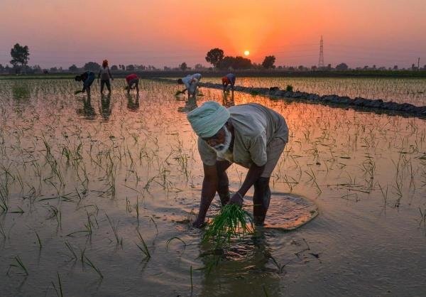 Representative Image. Credit: PTI Photo