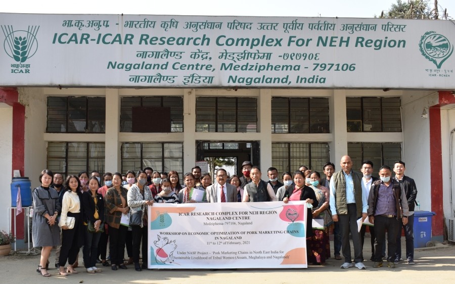 Officials and participants during the workshop held at ICAR Research Complex for NEH Region, Nagaland Centre, Medziphema from February 11 and 12.