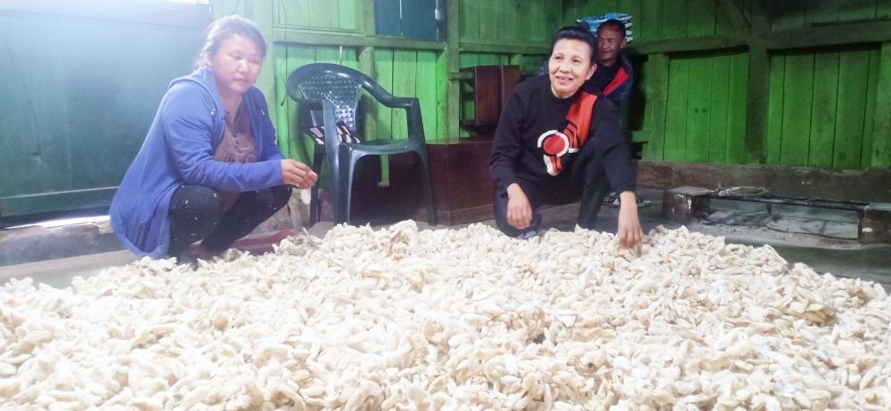 Beneficiaries Tsuktinungla and Lanusangla sort out cocoons in Chungtia, Mokokchung. (Morung Photo)