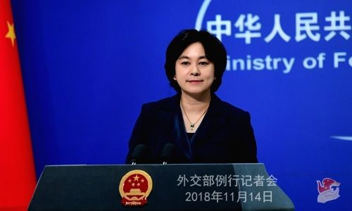 Hua Chunying. (MFA,China/IANS Photo)