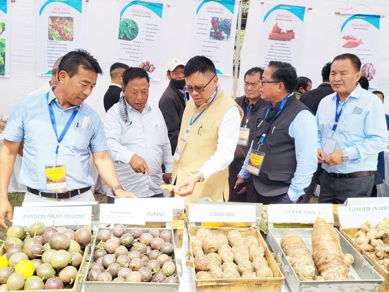 APC Y Kikheto Sema visiting organic stalls in the premises of Hotel Saramati Dimapur on March 11. (Morung Photo)