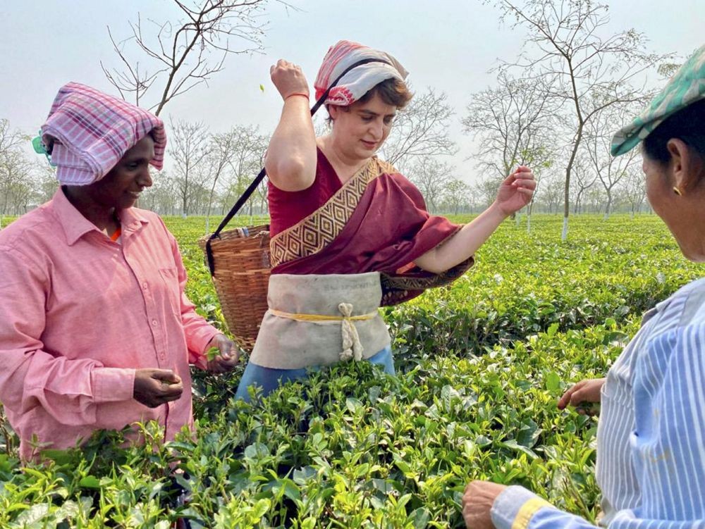 Biswanath: All India Congress Committee (AICC) General Secretary Priyanka Gandhi Vadra joins tea workers at Sadhuru tea garden in Biswanath, Assam. (PTI Photo).