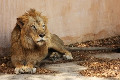 Image Source: IANS News