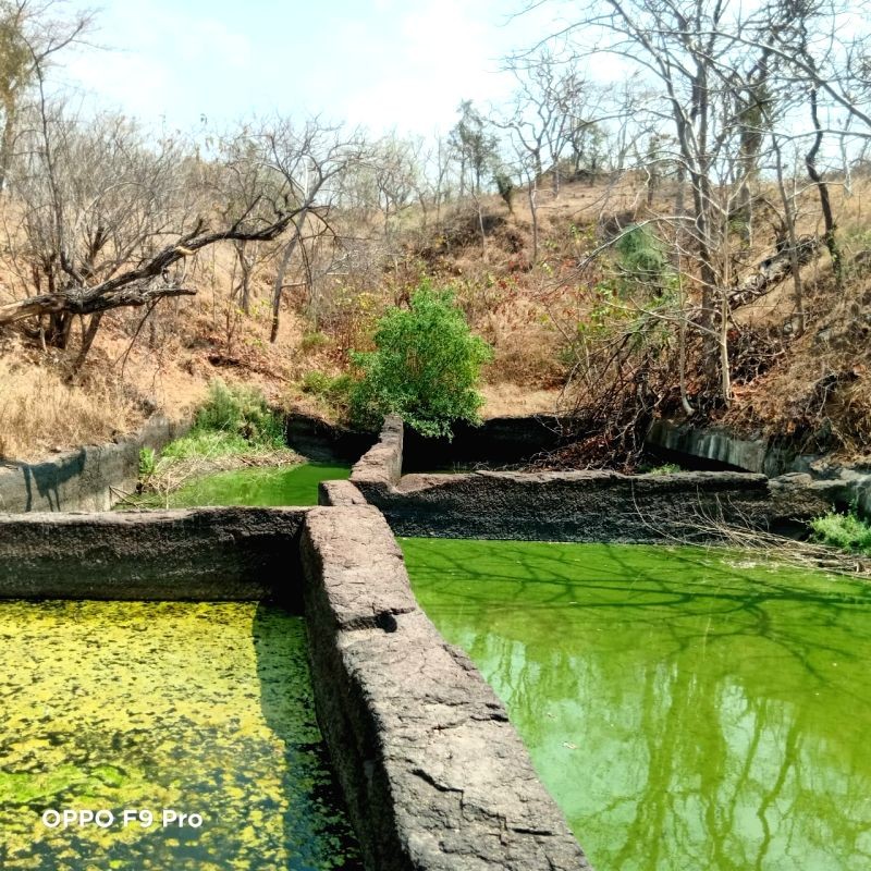 Archaeologist Bhujang R Bobade and his team discovered a 2000 plus year old vabe hidden in the forested hills of Maha-MP borders, while on a Sunday picnic. (IANS Photo)