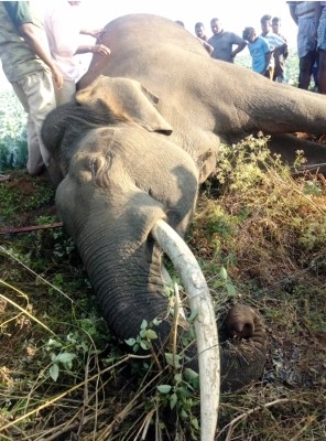 Image Source: IANS News