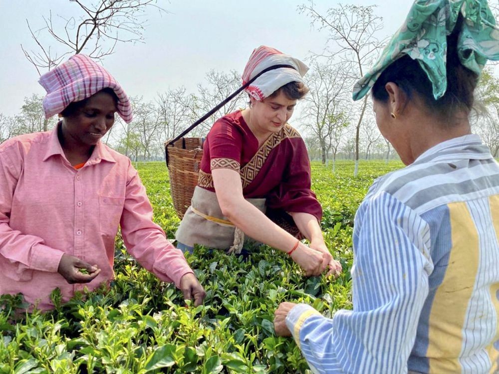 Biswanath: All India Congress Committee (AICC) General Secretary Priyanka Gandhi Vadra joins tea workers at Sadhuru tea garden in Biswanath, Assam. (PTI Photo).