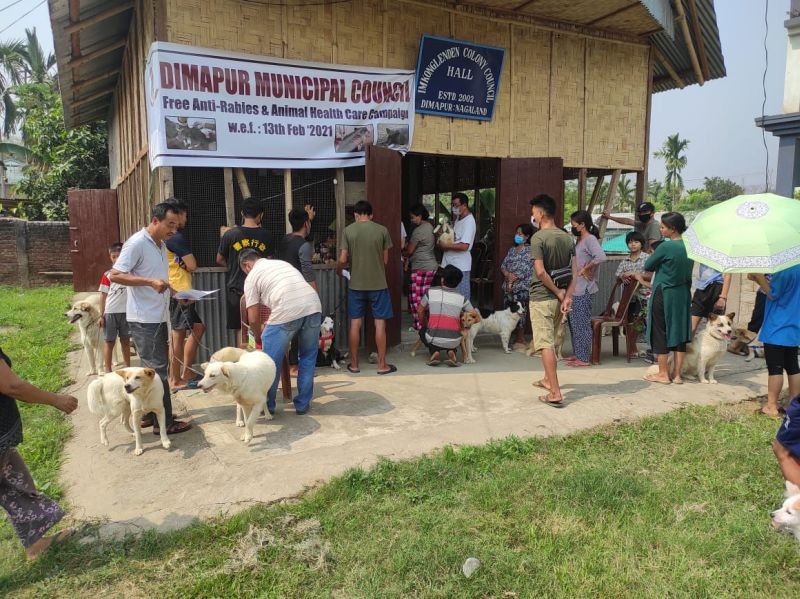 People wait to get their pet dogs vaccinated during the one day anti rabies vaccination drive organised by the by DMC at Imkonglenden Colony on April 10. The vaccination drive was led by Dr Sentinungla. About 160 dogs and cats were vaccinated and treated at Imkonglenden Colony and its surrounding areas.