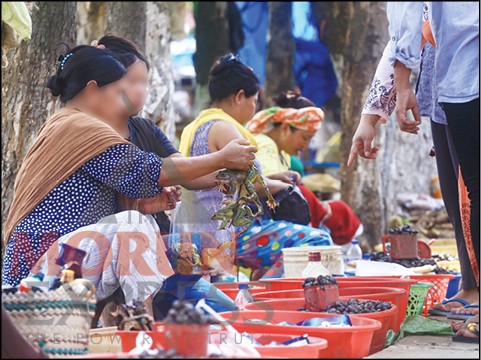 Vendors selling live frogs at Super Market Dimapur, on April 3. Frog meat is considered good for health as it is high in nutritional content. (Morung Photo by Soreishim Mahong)