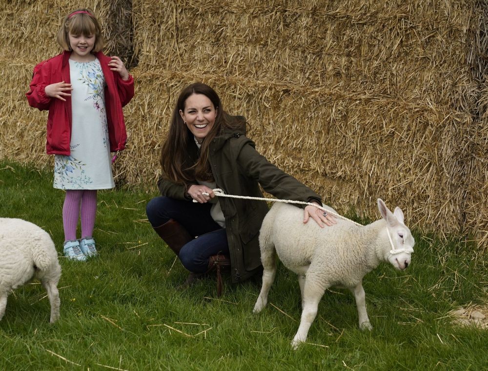 Durham : Britain's Kate, Duchess of Cambridge strokes a lamb with farmer's daughter Clover 9, during a visit with Prince William to Manor Farm in Little Stainton, Durham, England, Tuesday April 27, 2021. AP/PTI