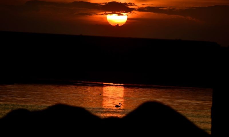 Chennai: Birds silhouetted against the setting sun at Pattinapakkam Beach, in Chennai, Saturday, April 17, 2021. (PTI Photo/R Senthil Kumar)
