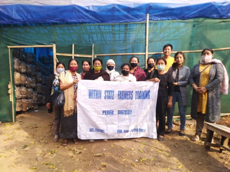 Farmers from Ahthibung and Jalukie block during their visit to Konger Agritech. (Photo Courtesy: ATMA Peren)