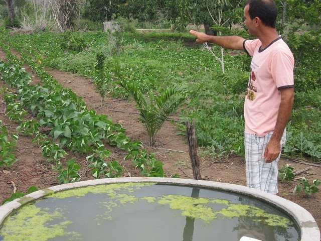 Abel Manto has managed to grow vegetables and fruit trees on his farm in the interior of the state of Bahia, in Brazil’s Northeast region, in an orchard in the semi-arid ecoregion, thanks to rainwater collected and stored in tanks. With no nearby streams, the farm’s year-round production depends on rainwater harvesting. (Mario Osava/IPS Photo)