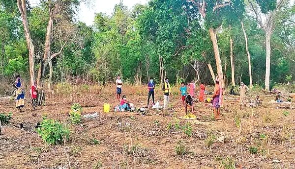 Tribals in Telangana village isolate in forest after testing Covid +ve. (IANS Photo)