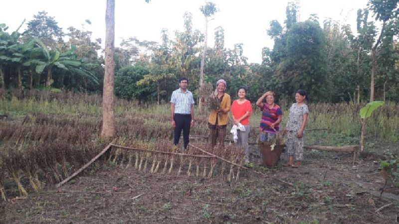 Promotion of sesame varieties in Nagaland by ICAR Nagaland Centre, Medziphema