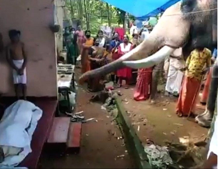 Elephant paying last respects to Mahout. (IANS Photo)