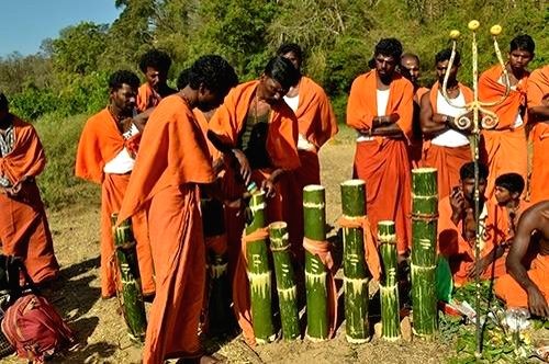 Doc dances to woo Kerala tribal's to take Covid vax.(IANS Photo)