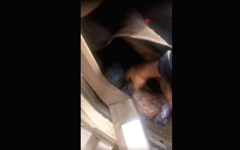 Representational image. (IANS File Photo)